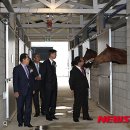 함안 승마장 이미지