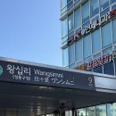 믿고 받는 신부관리 끝판왕 [약손명가 왕십리점] 후기☀️