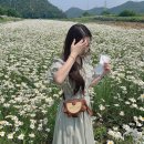 명보장여관 네이버블로그