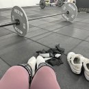 크로스핏 베어 | [여자 크로스핏 후기] ep.38 :: 베어컴플렉스, 박스점프오버