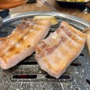 아라곰장어 이미지