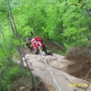 백두병원 이미지