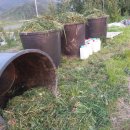 충실농장 이미지