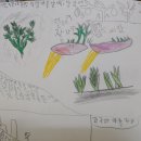 [1-4학년 하늘땅살이] 경칩 열나흘: 토박이씨앗과 우리 밥상 이미지