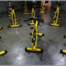 바디퍼포먼스짐 이미지