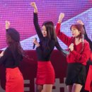 모모 이미지