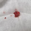 서울진외과의원 이미지