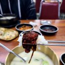 [대전 신탄진 맛집] 국내산 한우로 우려낸 깊은 곰탕 맛! 처가집곰탕 방문기