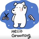 헬로우 그루밍 이미지