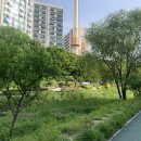 나그네길 | &lt;고도를 기다리며&gt; 독서모임 후기 (1)