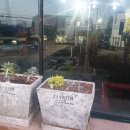 우암산등산로2 이미지