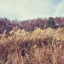 남파랑길 18코스 이미지