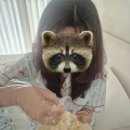 김'S' | 단양 인생 숙소 : 빌라마르디 시무 스위트 S 후기