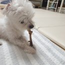 까까물래 이미지