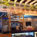 꼬치피다 이미지