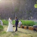 해영민박 이미지