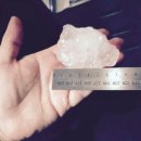 터보덴트 이미지