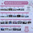 “영등포 관광명소 뽑아주세요”… ‘관광명소 8선’ 국민 투표 실시