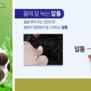 유바이오텍(주) 매일경제