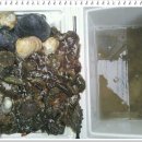 몽산바람팬션 이미지