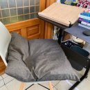 안버림연구소 이미지