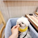 갈산역 2번 출구 이미지