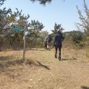 암태중학교 이미지