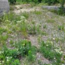 지방도345호(2) 이미지