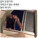 떠나자~세계로 이미지