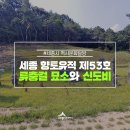효자 이면주 정려 | 세종 향토유적 류충걸 묘소 및 신도비를 찾아서...(세종시 역사문화탐방)