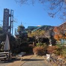 황궁쟁반짜장우두점 | 춘천 황궁쟁반짜장 우두점 볶음밥도 맛있음!