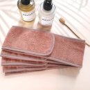 아젤리아 이미지