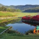 선리치골프클럽 이미지