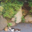 달맞이길 35 이미지