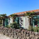 비자림 미담 이미지