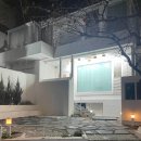 폴스베이비 만삭 사진 후기(용산 트리니티 연계), 강아지 동반, 의상 컨셉