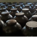 (효소) 11. 효소의 색다른 변신 이미지