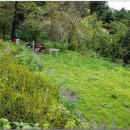 상월한의원 이미지