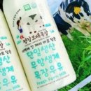 꿈앤들 푸드