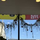 우리반상시월 | 우리반상 시월 내돈내산 후기