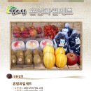 팜스팜 네이버블로그