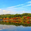 율동공원 이미지