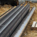 백수농장 이미지