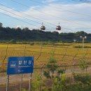 평화누리 대공연장 | 경기도 파주 임진각 평화누리. 곤돌라. 독개다리 (입장료 요금)