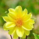 다대1동 행정복지센터 네이버블로그
