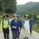 유룡리농장 이미지