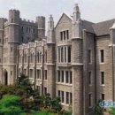 고려대학교 Daum카페