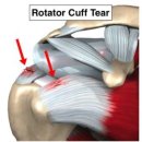 서울성모재활의학과의원 이미지