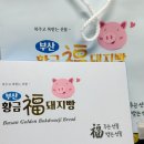 복돼지네 | 부산 기념품 추천 황금복돼지빵 여행 선물 후기