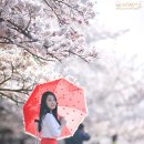 한강수